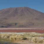 CHILE-BOLIVIEN: Foto-Reisebericht zum Wüstenzauber