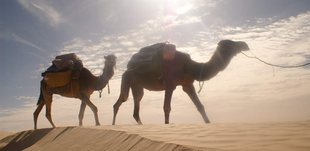Tunesien - Quer durch die Sanddünen