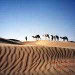 Die Weite der Sahara erleben...