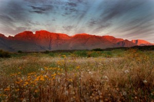 Morgendämmerung in Ihren Camp am Fuße der Cederberge in Südafrika