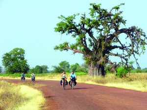Radelnd durch das Sine-Saloum-Delta, vorbei an riesigen Baobabs