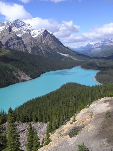 Der Peyto Lake in den Rocky Mountains zählt zu den beliebtesten Fotomotiven Kanadas