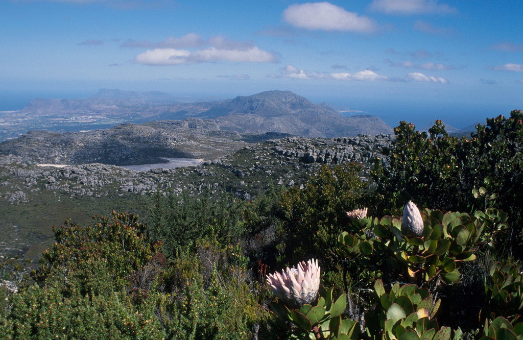 Weiter Blick vom Tafelberg