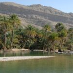 Traumhafte Erfrischung bietet das Wadi Bani Khalid