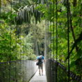 Hängebrücken in Costa Rica