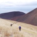 Wanderung auf Faials neuem Land - Capelinhos
