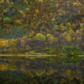 Indian Summer im Spiegelbild