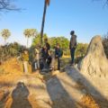 Gelegentlich brechen Sie in Botswana auch zu geführten Safari-Wanderungen auf.