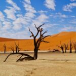 Die Dünen von Sossusvlei in Namibia bieten ein grandioses Farbspiel