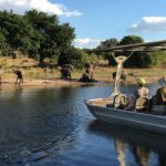Eine Bootssafari im Chobe-Park bildet den Safari-Ausklang der Reise