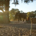 Zelten in Botswana ist ein wirklich unbeschreibliches Erlebnis.