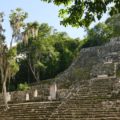Calakmul Pyramide (UNESCO)