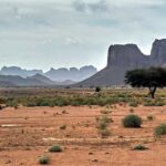 Unglaubliche Landschaften der Wüste