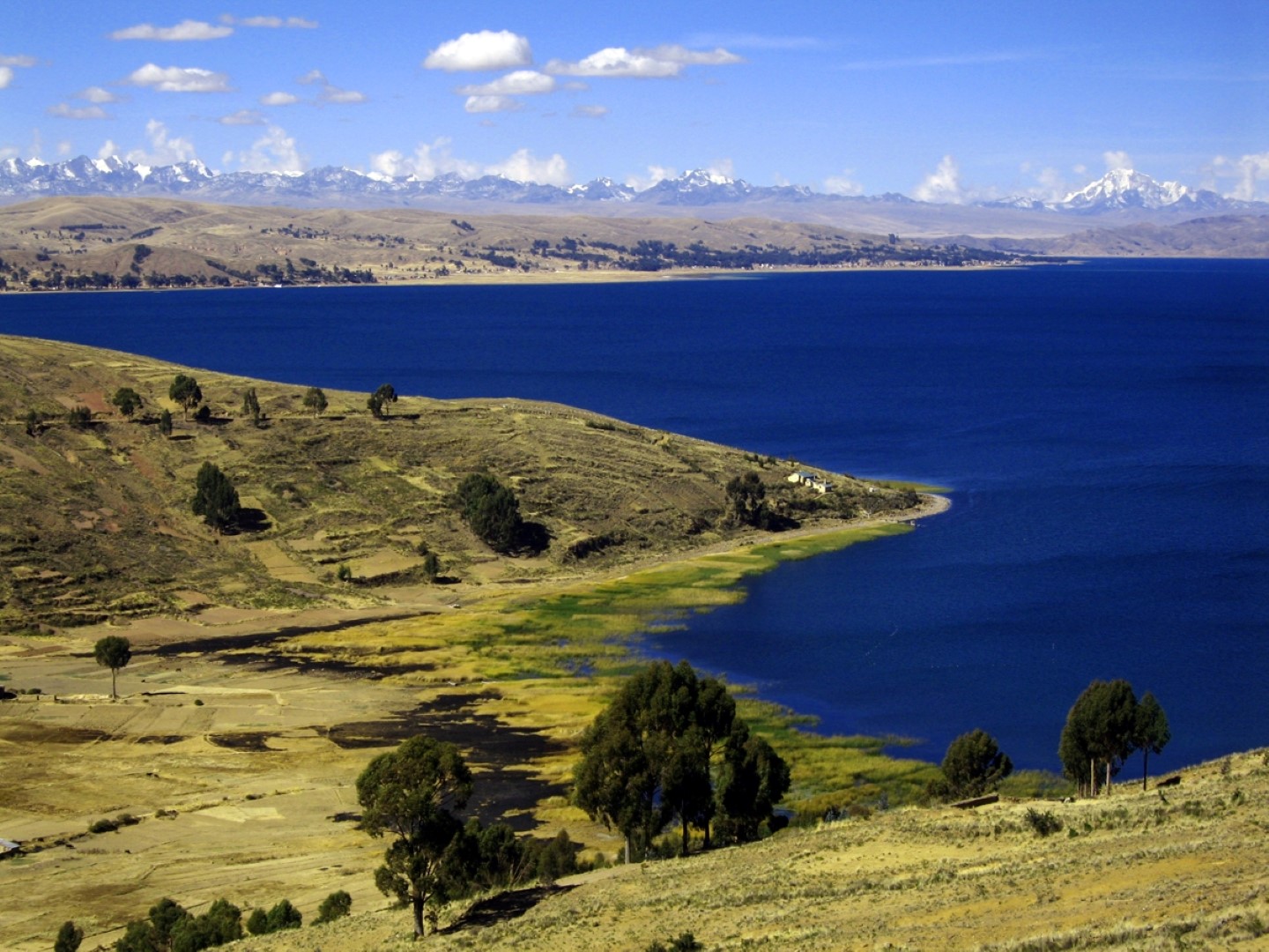 Координаты озера титикака. Озеро Титикака. Южная Америка озеро Титикака. Озеро Титикака Перу. Плато Альтиплано озеро Титикака.