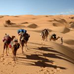 Sahara neu aufgestellt im Überblick