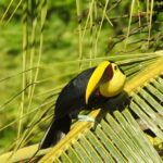 Costa Rica