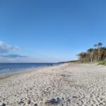 Darß-Marathon – Naturmeilen zwischen Urwald, Bodden & Ostsee