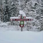 Vasaloppet mit Olympiateilnehmer im schulz-Team