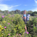 Wissen Sie, wonach Inseln riechen?