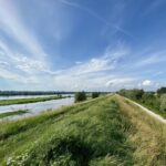 Entlang der Weichsel radeln Sie durch nahezu unberührte Landstriche