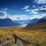 Momente der Wildnis – Zwischen arktischer Mondlandschaft und dichtem Dschungel