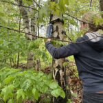 Nordische Ruhe erleben – und ein kleines Stück Baltikum gewinnen