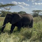 Unberührtes Tansania – eine Reise, die einfach bleiben musste